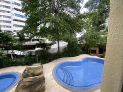Mount Elizabeth Link (D9), Condominium #466085531